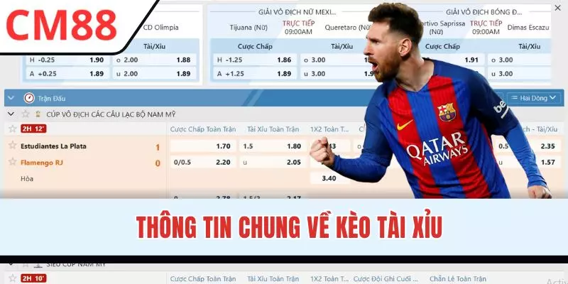 Khám phá tổng quan về kèo tài xỉu bóng đá
